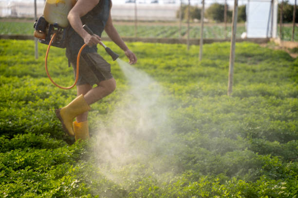 Best Ant Control Services  in Sacred Heart University, CT