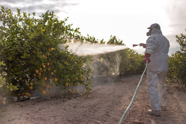 Reliable Sacred Heart University, CT Pest Control Solutions