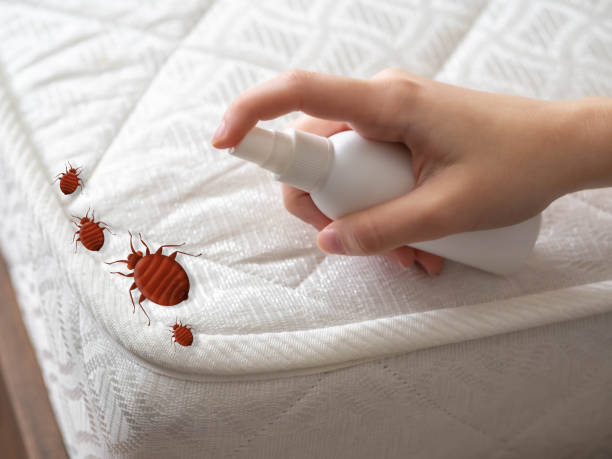 Best Mosquito Control Services  in Sacred Heart University, CT